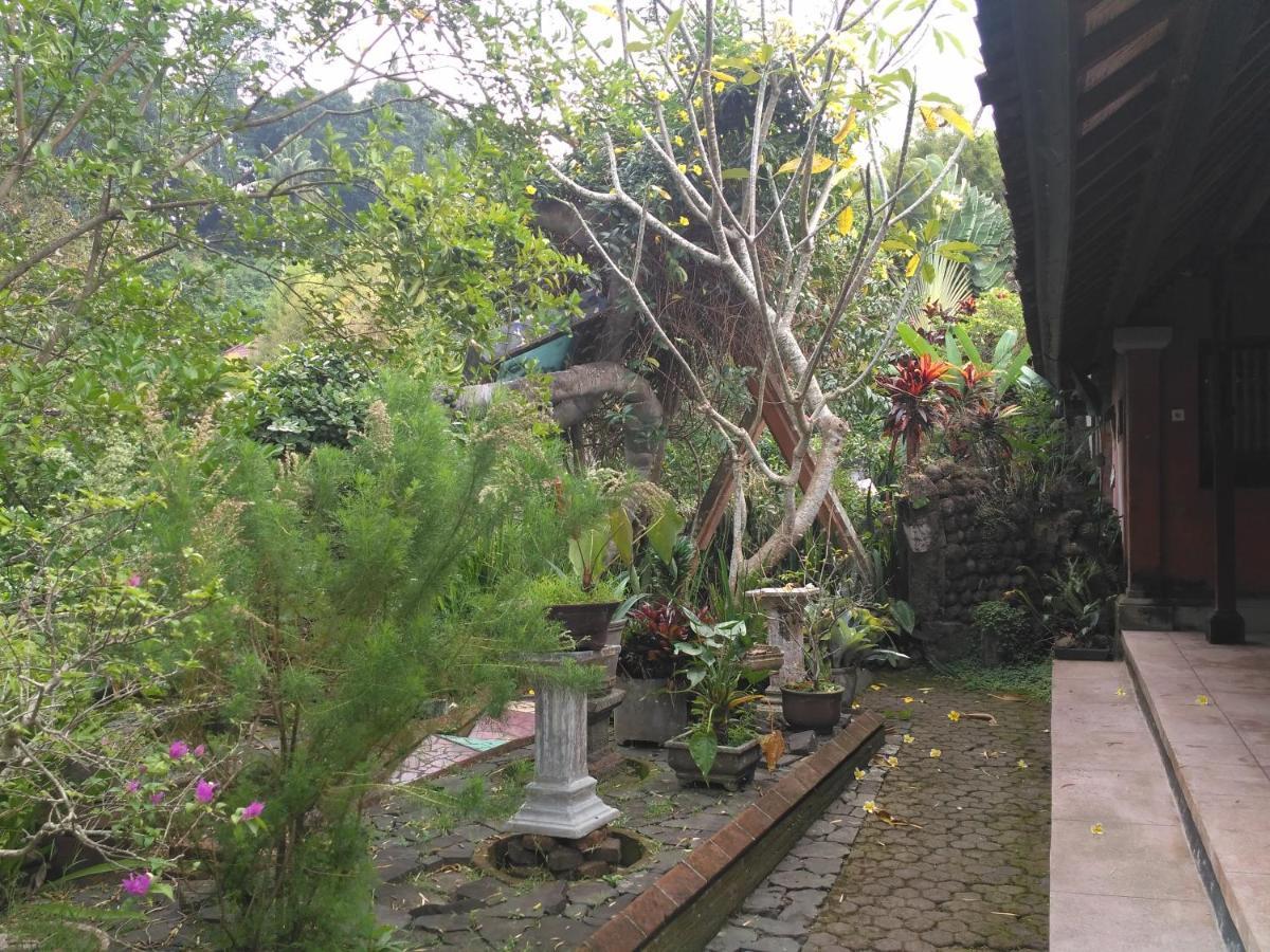 Dhangin Taman Karangasem Amlapura Exterior foto